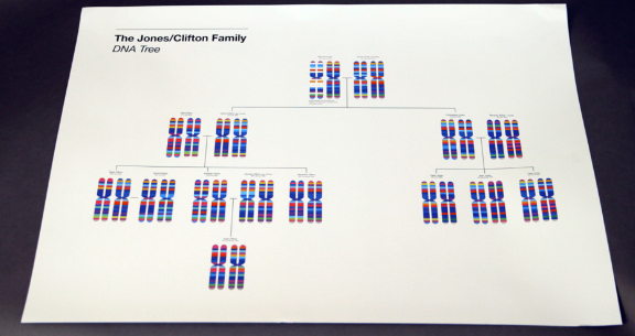 用棉簽采集你嘴里的DNA，根據(jù)它的特征定制一條專(zhuān)屬圍巾
